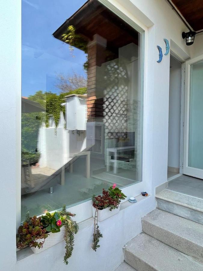 Azzurra House Apartment Marina Di Pisa Exterior photo